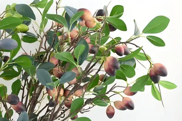 Artificial Olive Branch for Long-Lasting Hotel Décor Solutions